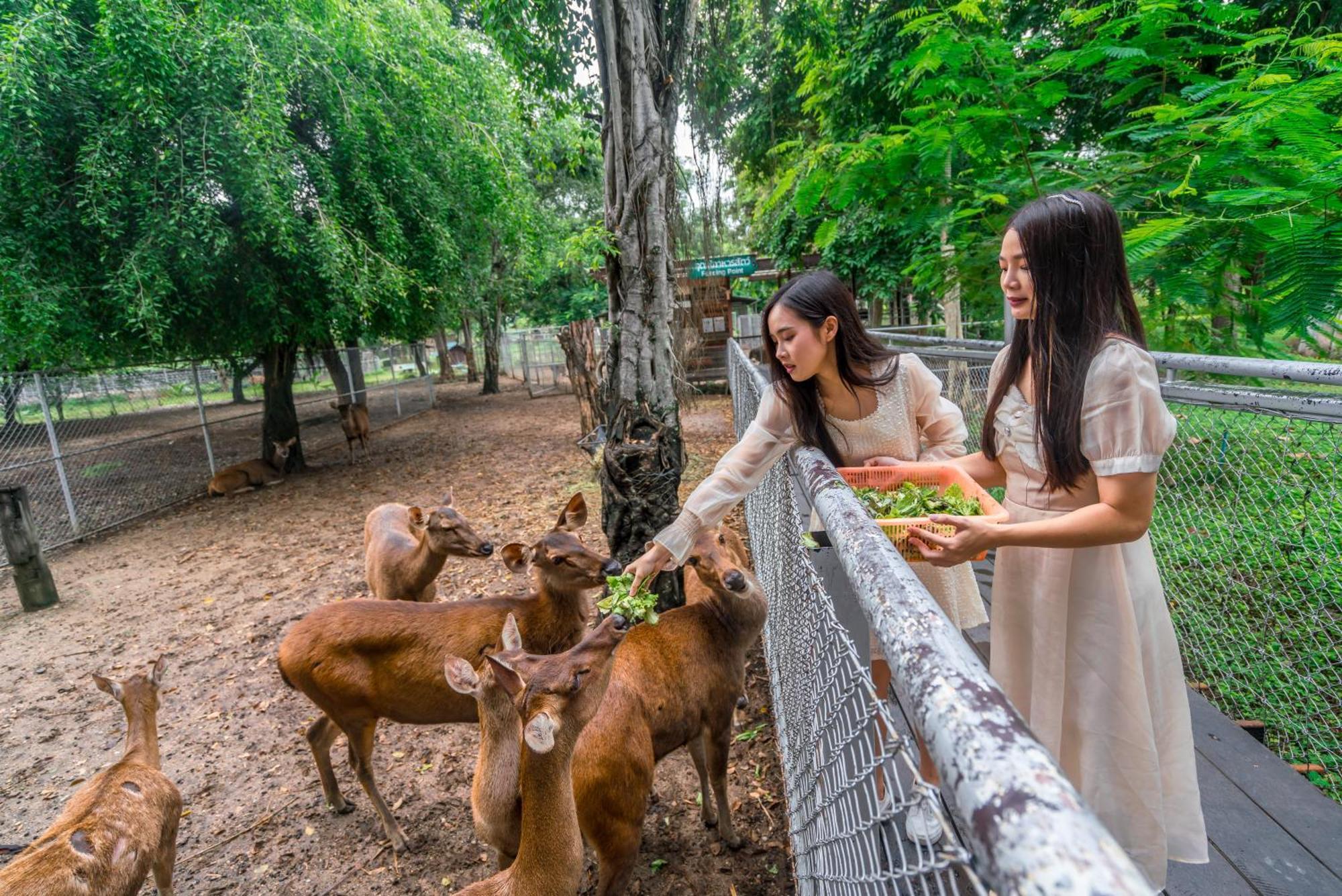 Horizon Village & Resort Doi Saket Ngoại thất bức ảnh